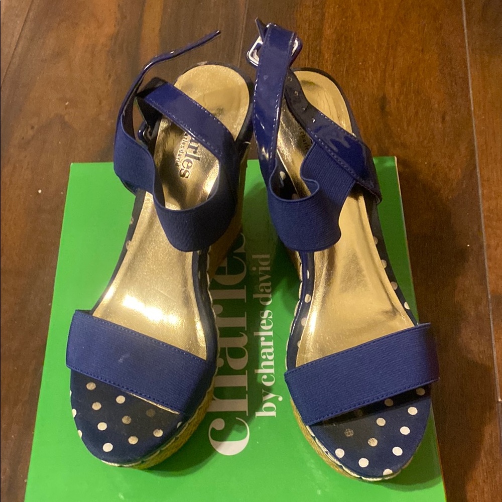 Charles by Charles David Blue Polka Dot Women's Sandals